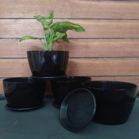Best Price For Self Watering Pots In India